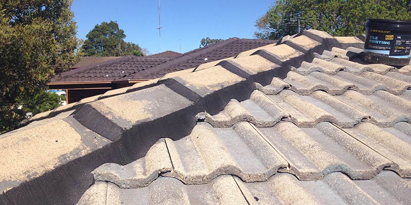 Roof in need of paint and repairs - roof repairs Lake Macquarie, NSW